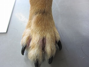 約1ヶ月後