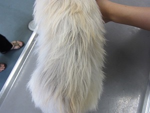 4ヶ月後