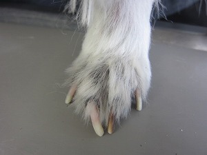 4ヶ月後