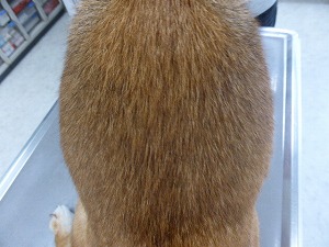 3ヵ月後