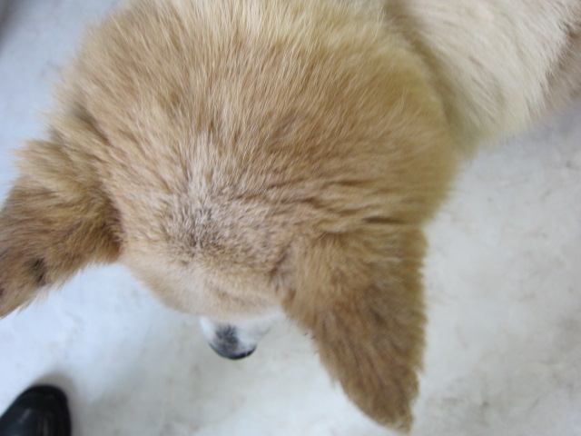 6ヶ月後