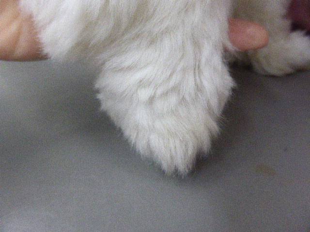5ヶ月後