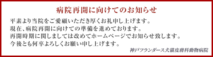 臨時休診のお知らせ