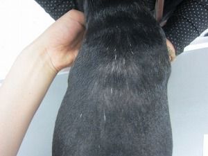約1ヶ月後