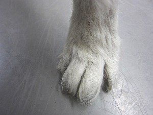 約2ヶ月後(治療中)