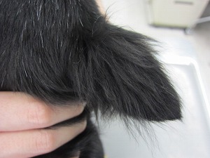 約9ヶ月後