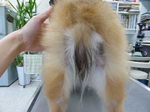3.5ヶ月後