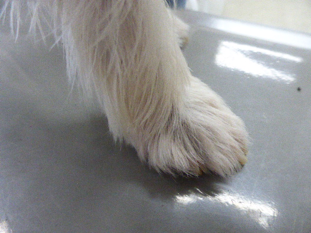 4ヶ月後